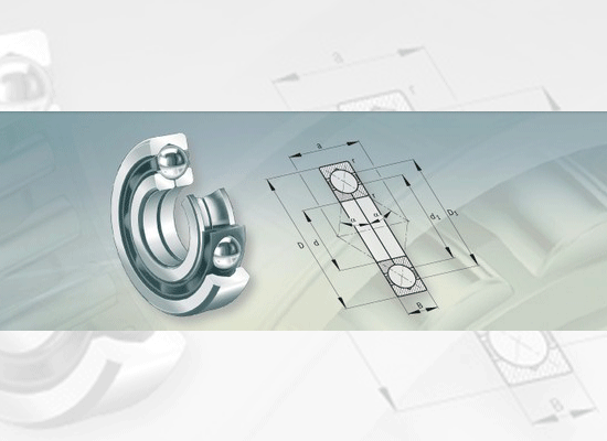 Four Point Contact Bearings