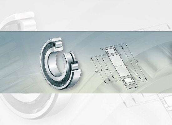 Cylindrical Roller Bearings With Cage