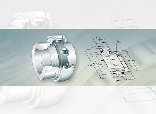 Radial Insert Ball Bearings