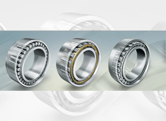 TORB Toroidal Roller Bearings